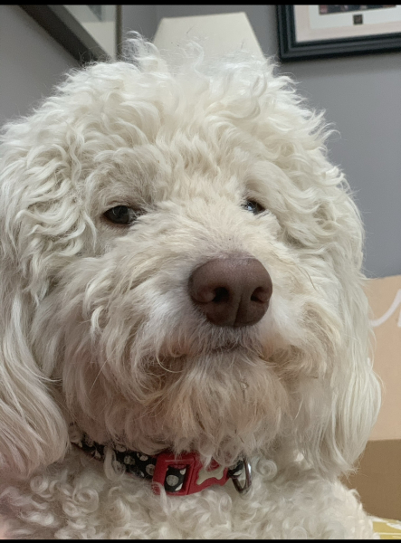 Pamela thread 5 - Bile Duct Cancer, chemo begins