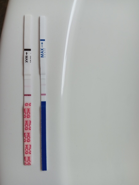 1DPO... Any tww buddies? 