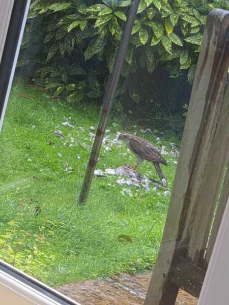 Come and tell me your dull and unexciting news 25: Calmly through the day 