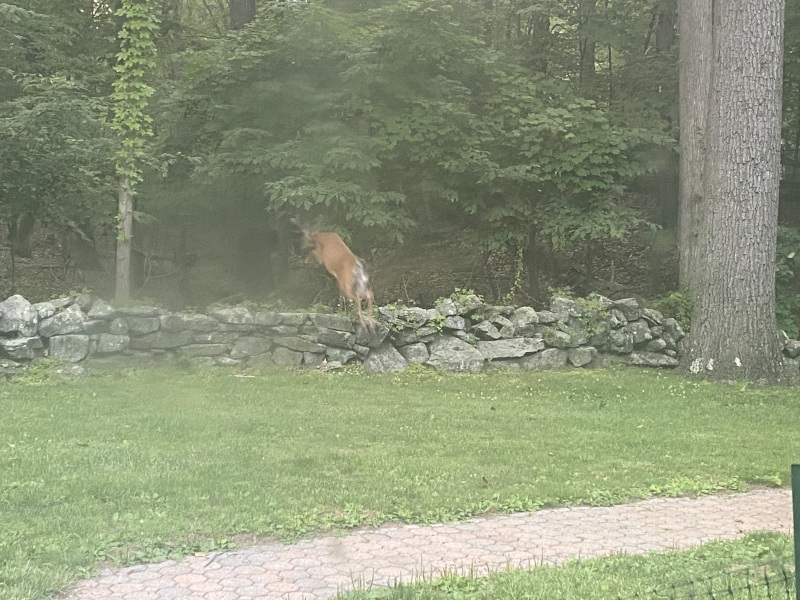 Come and tell me your dull and unexciting news 25: Calmly through the day 