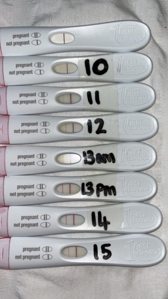FRER lines getting lighter at 15dpo..