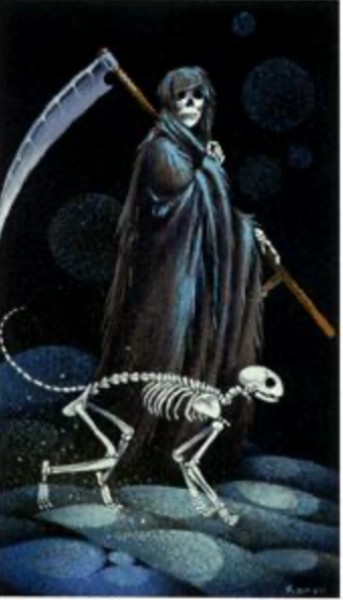 Worst comment you've had as a child free woman