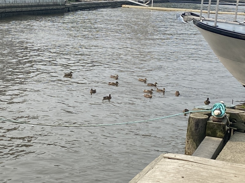 Come and tell me your dull and unexciting news 25: Calmly through the day 