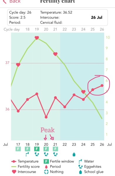 When did I ovulate? (Pic attached, opk & bbt)