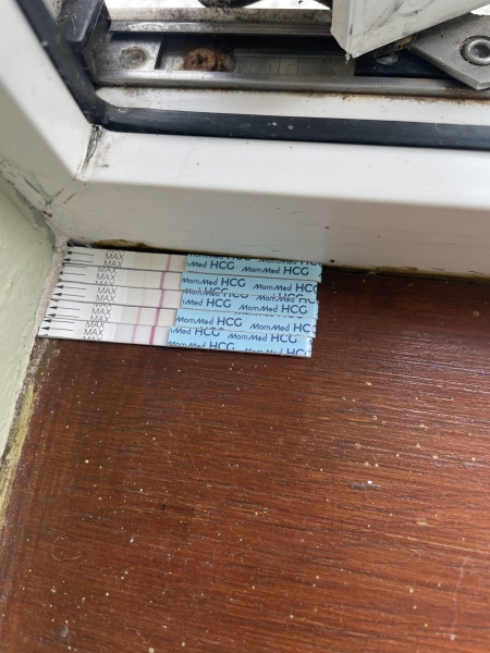 1DPO... Any tww buddies? 