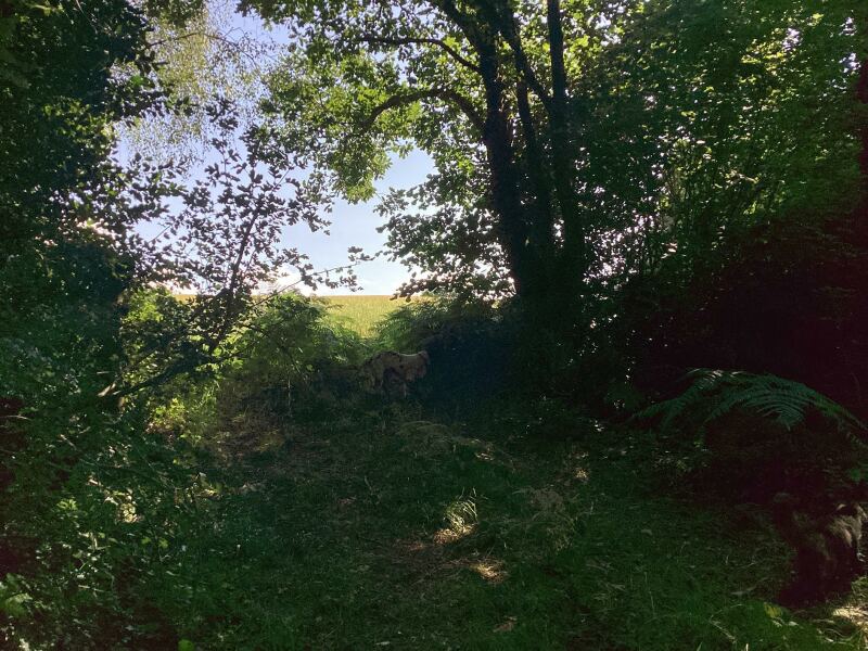 Thread 9 - TalkLair: “Russell's teapot goes on being round”