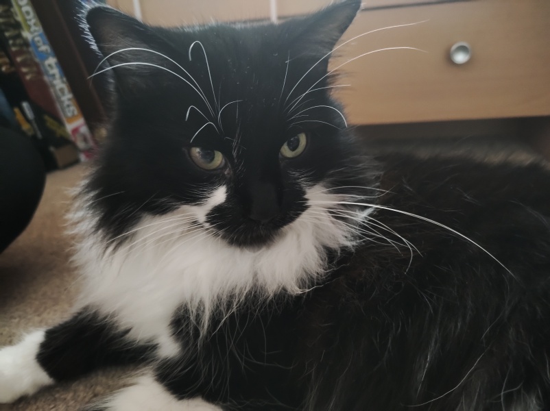 Cat Eye Problem