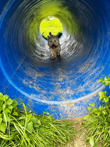 Pamela thread 3 - Bile Duct Cancer, off to London! 