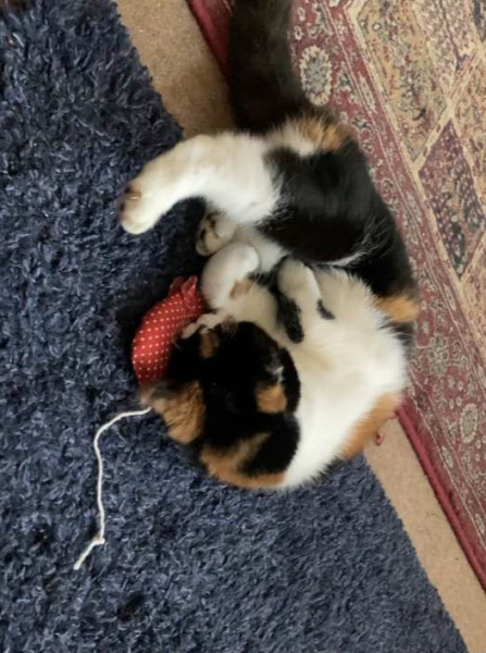 Lost my girl today