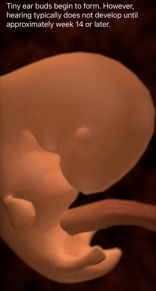 Pregnancy app recommendations