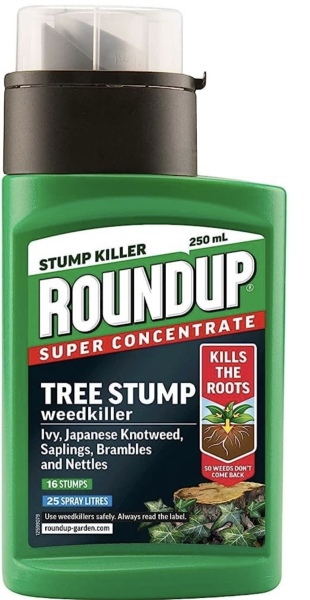 New house has Japanese knotweed 