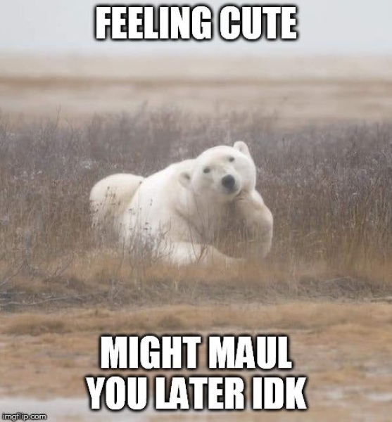 Anyone fancy joining me for a meme thread?