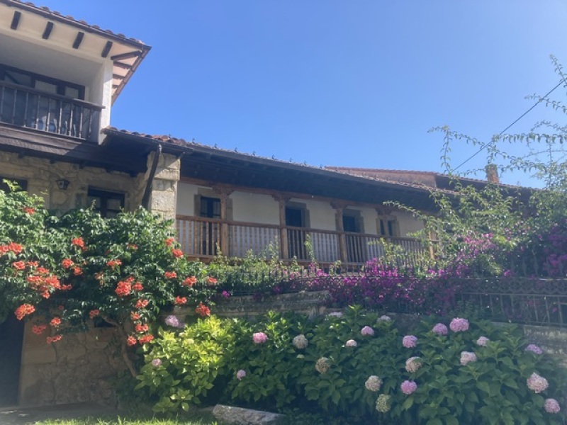 The Saxenda Sisterhood 