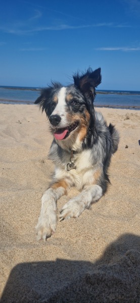 Pamela thread 5 - Bile Duct Cancer, chemo begins