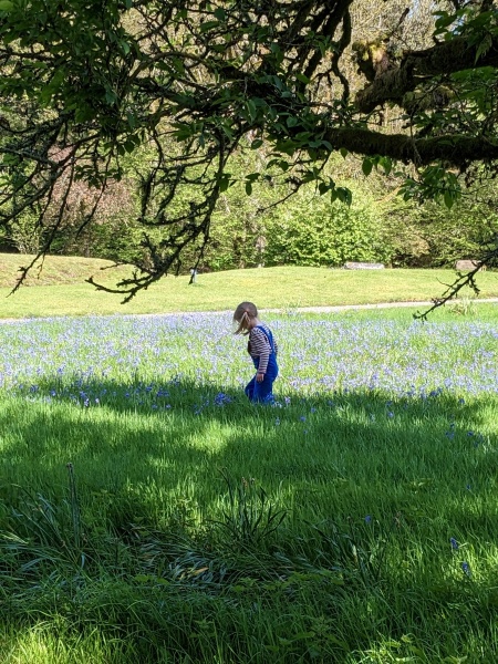 Pamela thread 5 - Bile Duct Cancer, chemo begins