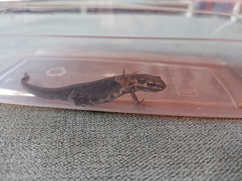 Where's safe to put him?