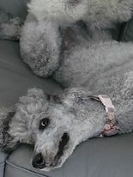 Pamela - Bile Duct Cancer, thread 4, London has given me a chance! 