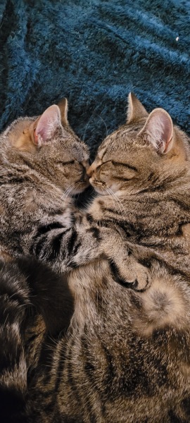 Pamela thread 3 - Bile Duct Cancer, off to London! 