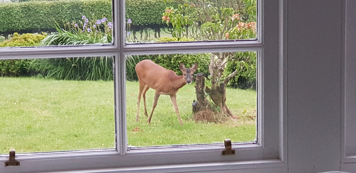 Pamela - Bile Duct Cancer, thread 4, London has given me a chance! 