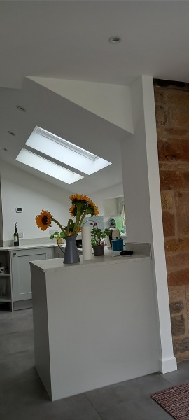 To paint the house just normal white? 