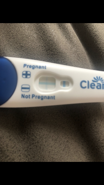 Pregnancy Test