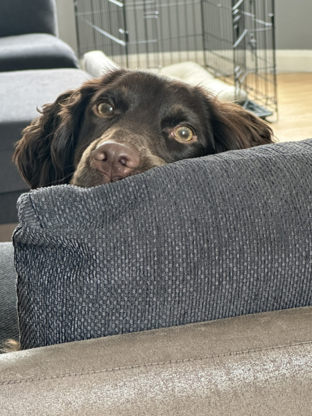 Pamela thread 3 - Bile Duct Cancer, off to London! 