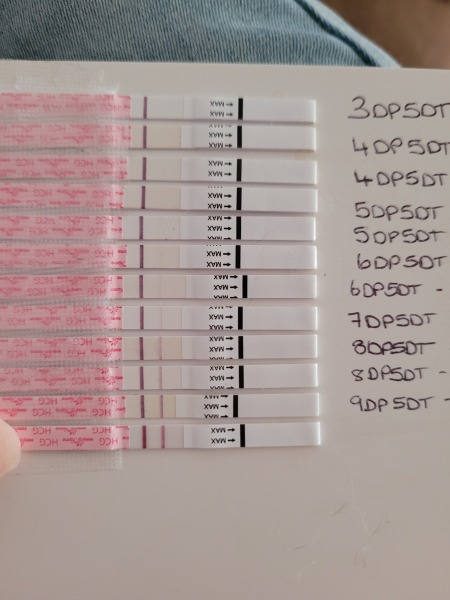 FET/IVF July 2023 - Thread 2