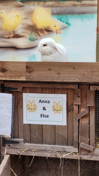 Pamela - Bile Duct Cancer, thread 4, London has given me a chance! 