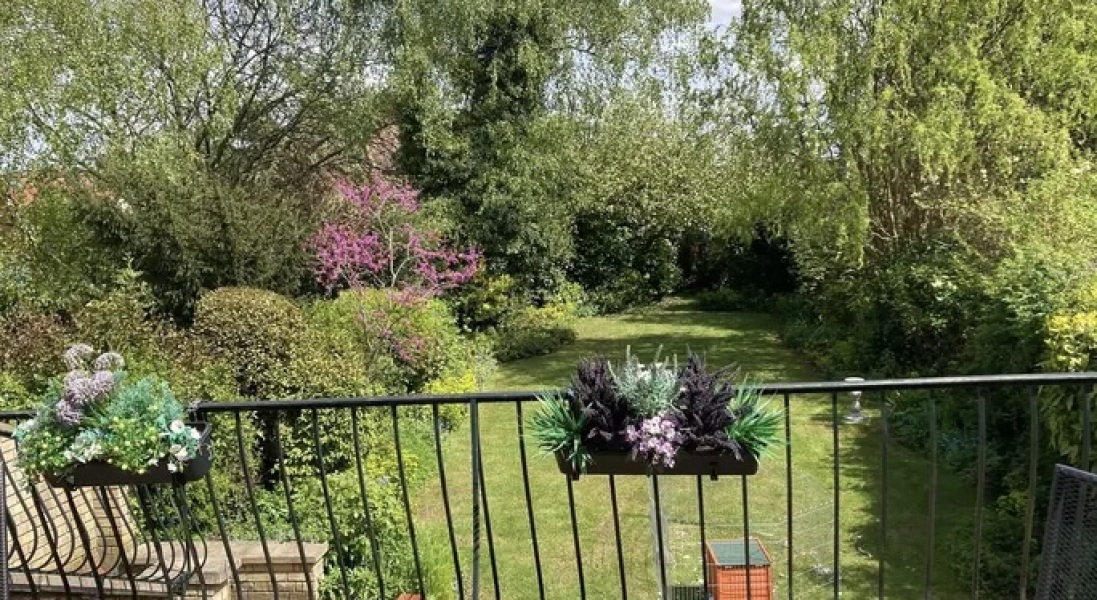 Mature garden - help 
