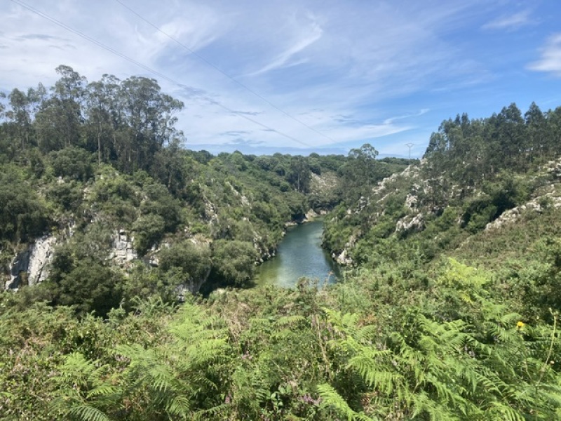 The Saxenda Sisterhood 