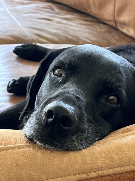 Pamela - Bile Duct Cancer, thread 4, London has given me a chance! 