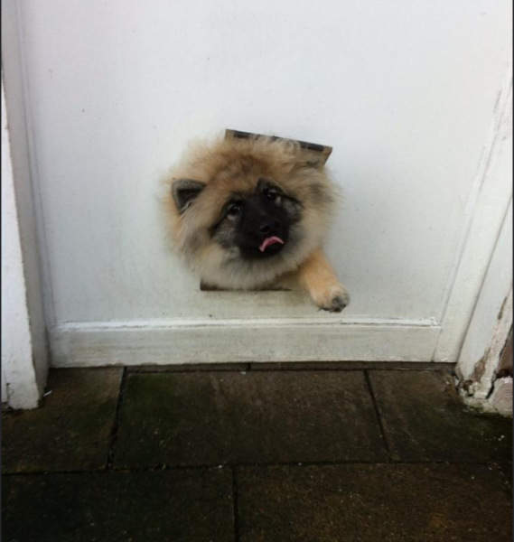 Pamela - Bile Duct Cancer, thread 4, London has given me a chance! 