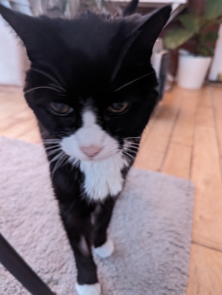 Would you investigate (Old boy)