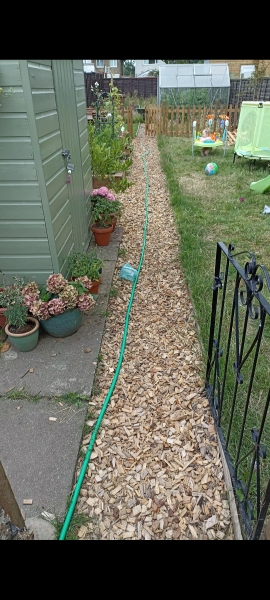 Garden advice, curved path? 