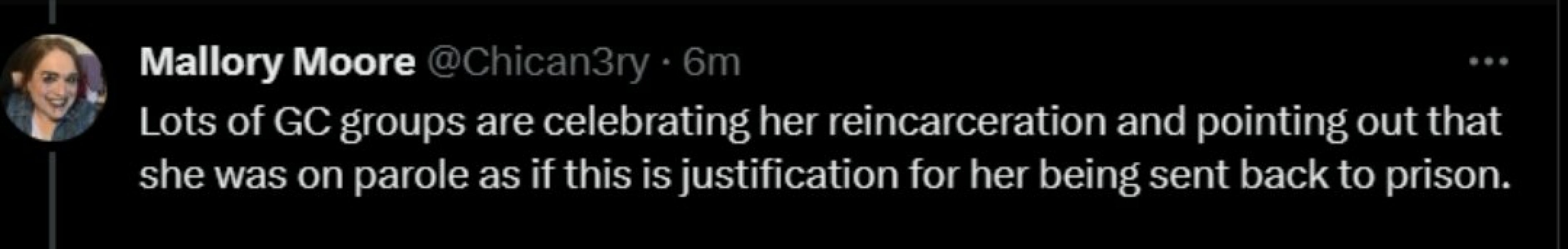 “If you see a TERF, punch them in the fucking face!” Speech at Trans Pride London 8 July 2023