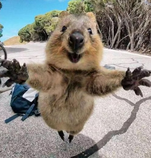 Pamela thread 3 - Bile Duct Cancer, off to London! 