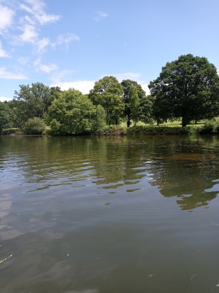 Pamela thread 5 - Bile Duct Cancer, chemo begins