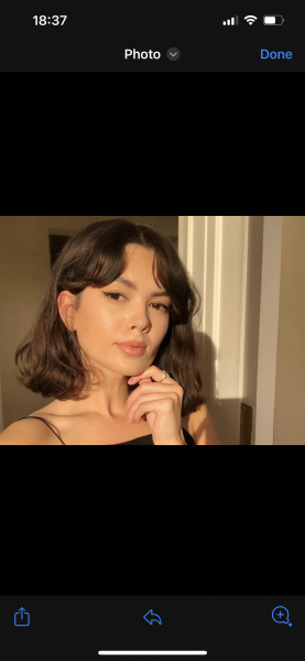 What shade of brown would you say this is?  