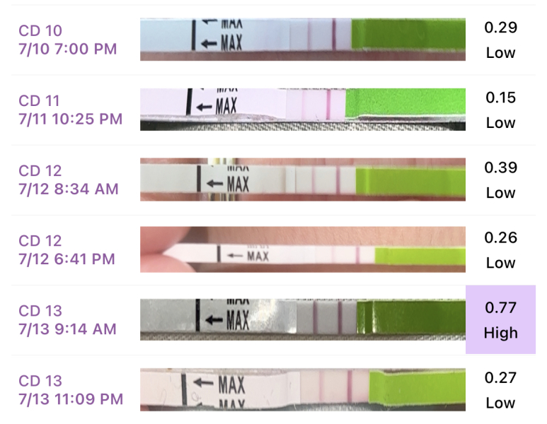 is this opk positive? 