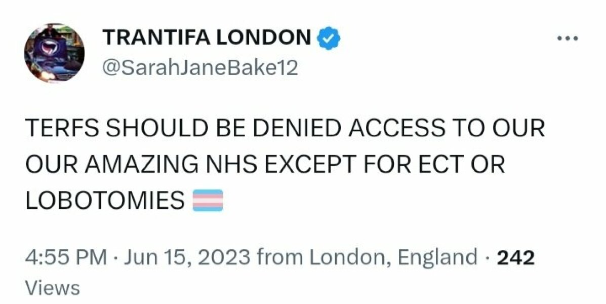 “If you see a TERF, punch them in the fucking face!” Speech at Trans Pride London 8 July 2023