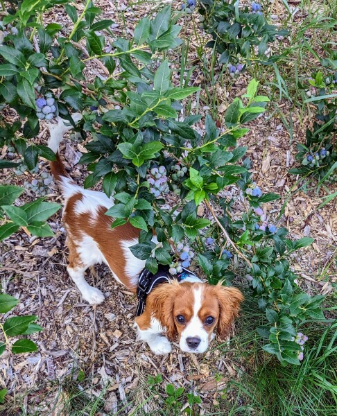 The happy Place Café is still open