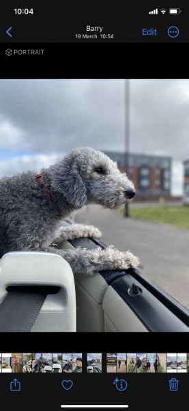 Pamela thread 5 - Bile Duct Cancer, chemo begins