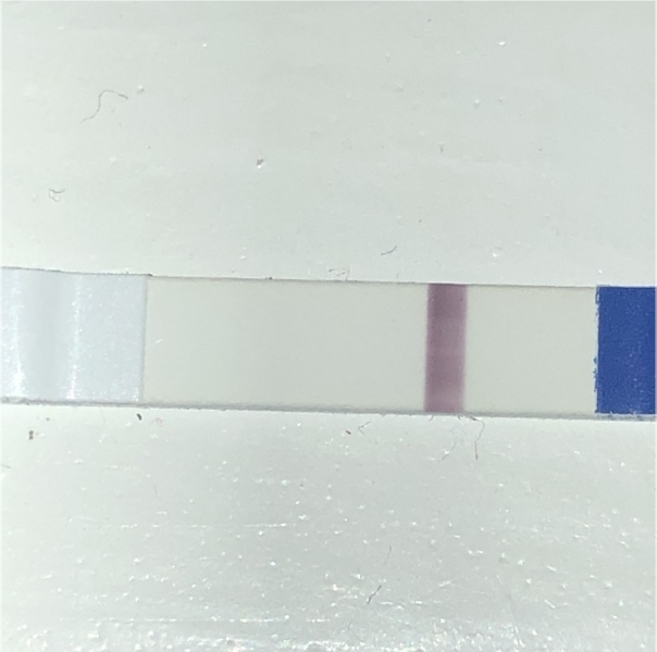TWW - 11DPO, anyone else?