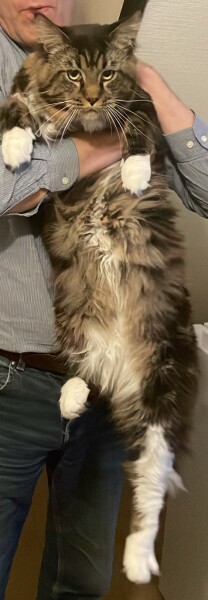 Come and tell me your dull and unexciting news 26: Calmly through the day 