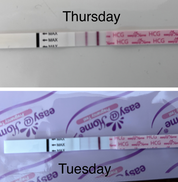 Possible miscarriage?