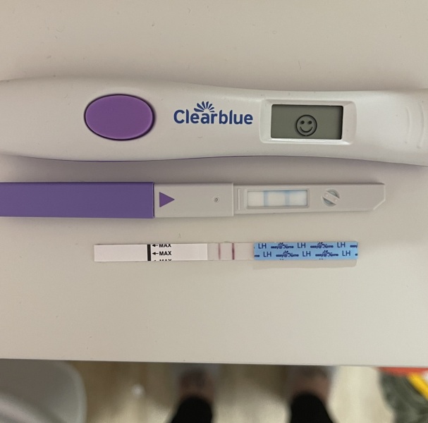 Ovulation test help please