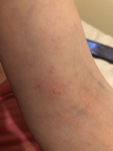 What's this please (photo)