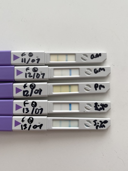 Have I even ovulated?? 