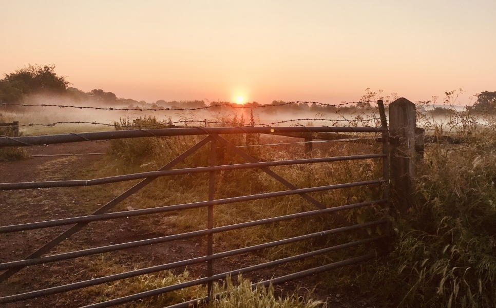 Pamela thread 3 - Bile Duct Cancer, off to London! 