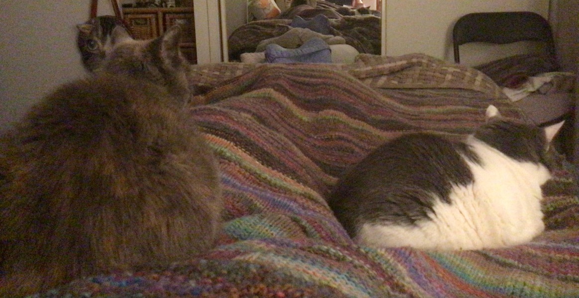 What's your morning routine?